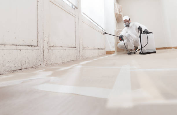 24/7 Emergency Mold Remediation experts in Stevenson, MD